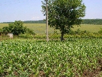 Development land for sale near Varna