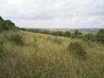 5003 sq m near Albena Resort!