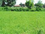 Large green plot few kilometers from a dam lake!