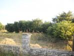 Plot with an old house in Sokolovo, Balchik