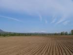 3 hectar cheapy plot close to Dobrich