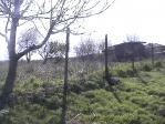 Cheap property not far from Dobrich