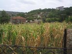 property Ref No:V269