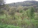 property Ref No:A092