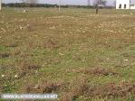 property Ref No:B194