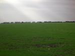 property Ref No:B253