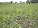 property Ref No:K030