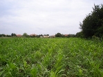 property Ref No:V107