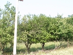 property Ref No:V120