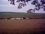 property Ref No:SH005