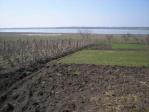 Cheap building plot for sale near Dobrich