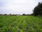Development land for sale in a fishing area